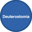 Deuterostomia